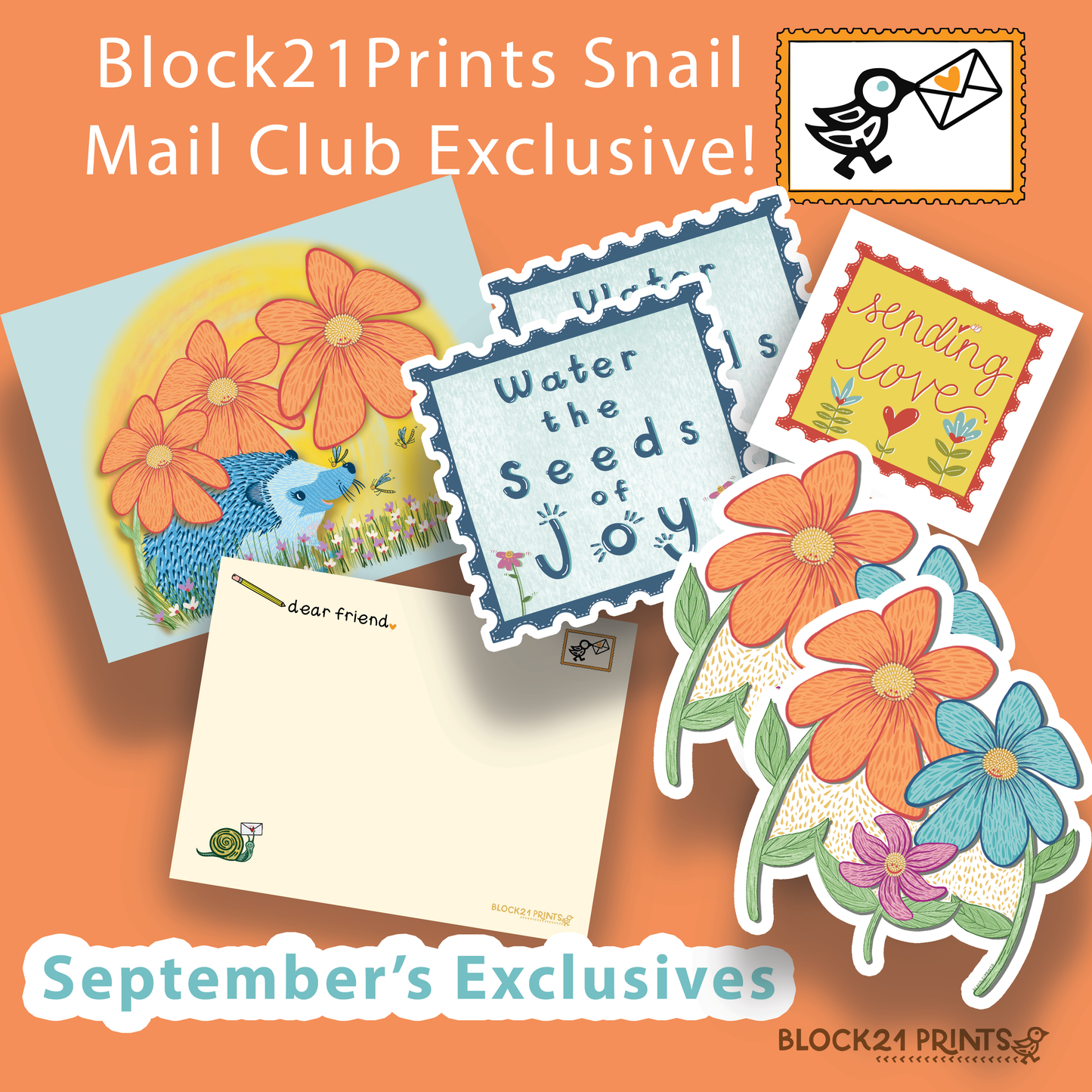 Snail Mail Club CLASSIC - Tier 1 - A Monthly Subscription