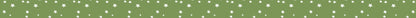 Green with White Stars Washi Tape